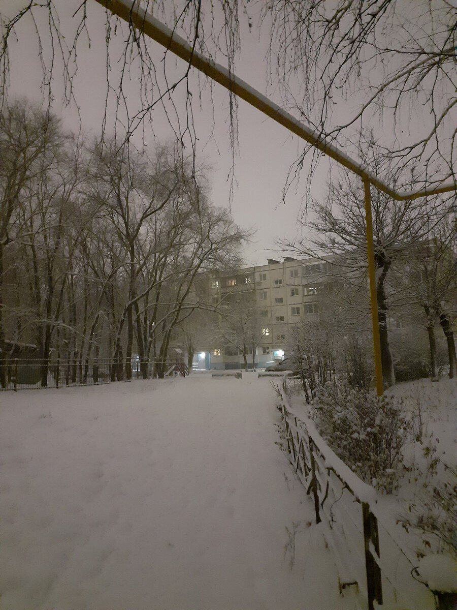 21.12.2021 года. время 22.30, а светло как днем. в тот день был очень сильный снегопад. мы с котом гуляли перед сном и я сфотографировала эту потрясающую природу.