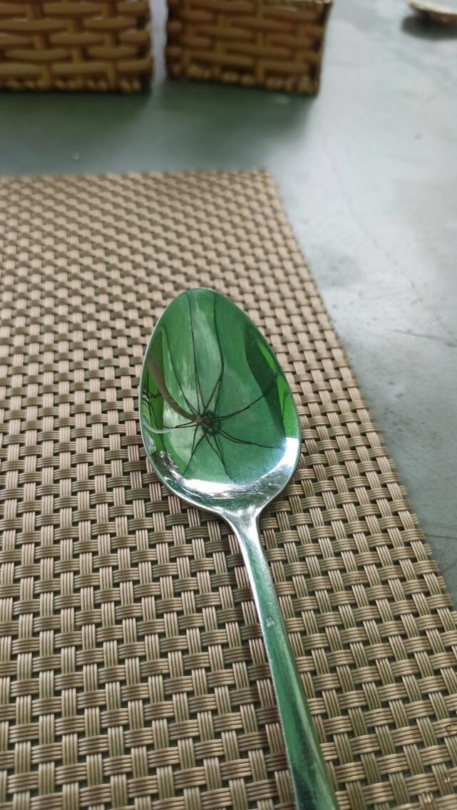 Источник: https://www.reddit.com/r/mildlyinteresting/comments/echr0n/umbrella_reflection_in_spoon
