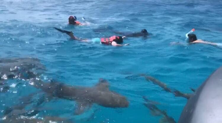 Личный фото архив