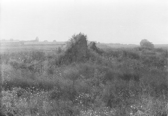 Вид поселения Свободное около села Красногвардейское в Адыгее спустя несколько лет после раскопок