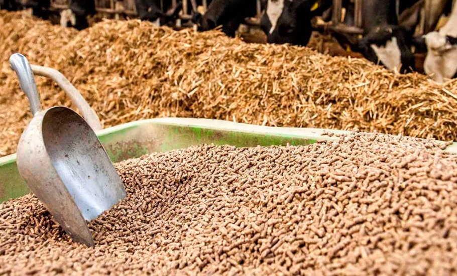 Ставьте лайк, если вам понравилась публикация. Подписывайтесь на канал и будьте в курсе отраслевых событий.