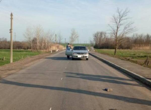 Источник фото: пресс-служба ГИБДД по Ростовской области 