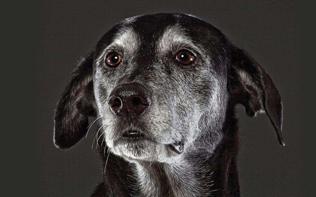 Источник фото: https://autogear.ru