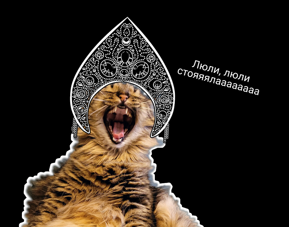 Моя котоМуза