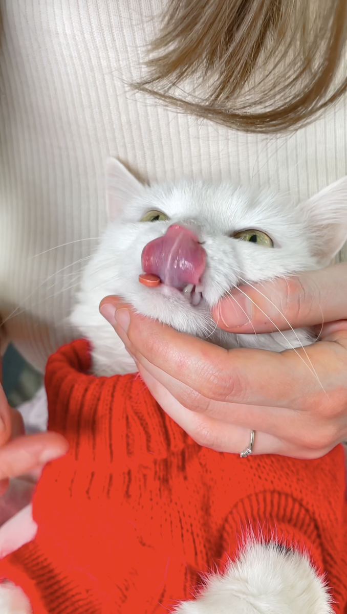 По усам текло, а в рот не попало...