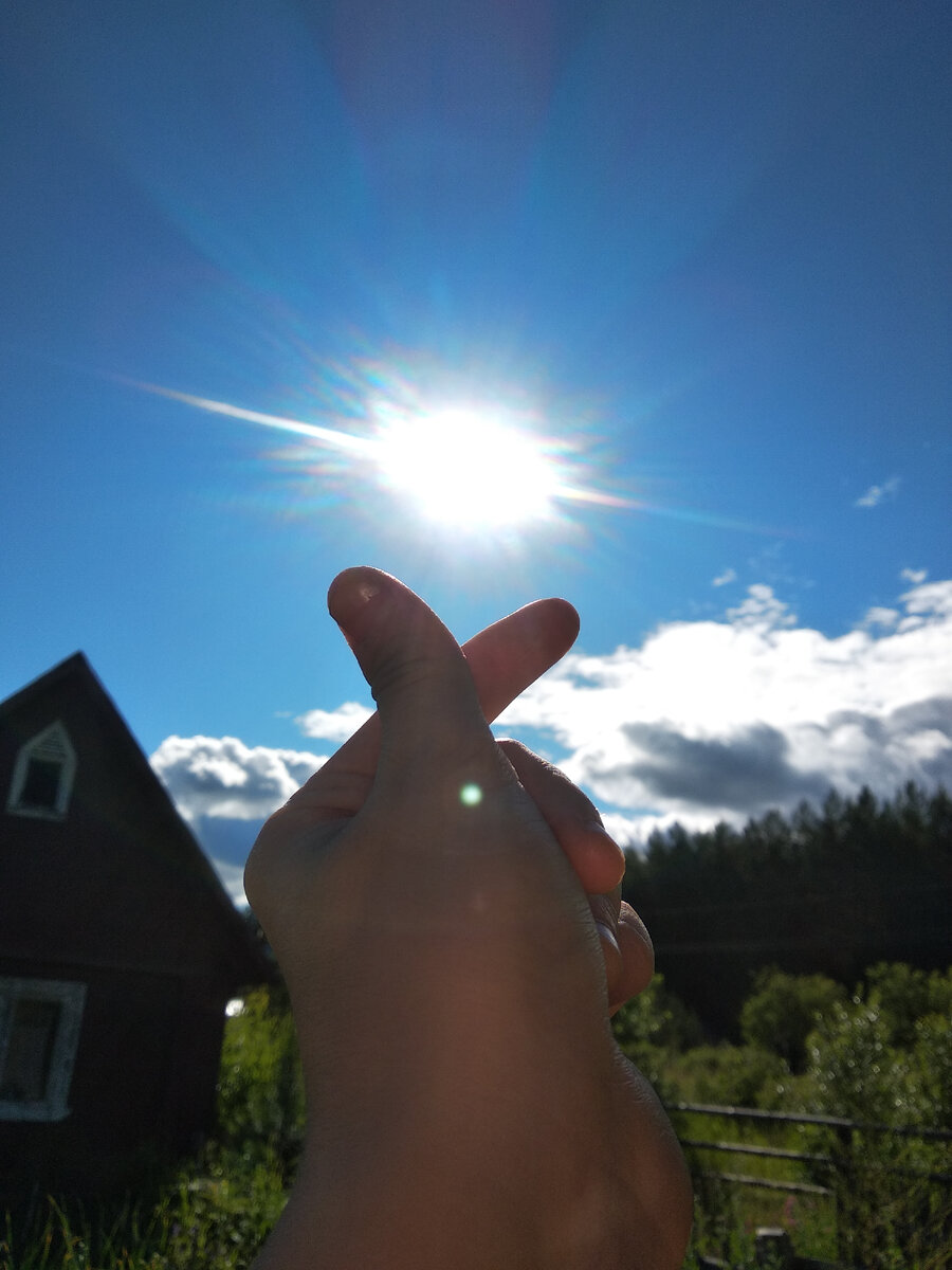 Летом на даче.