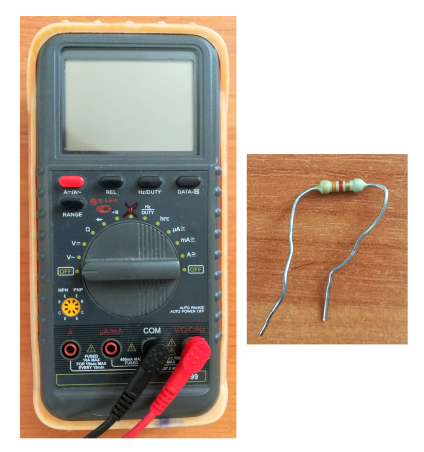 Герои нашего эксперимента. Фото мое