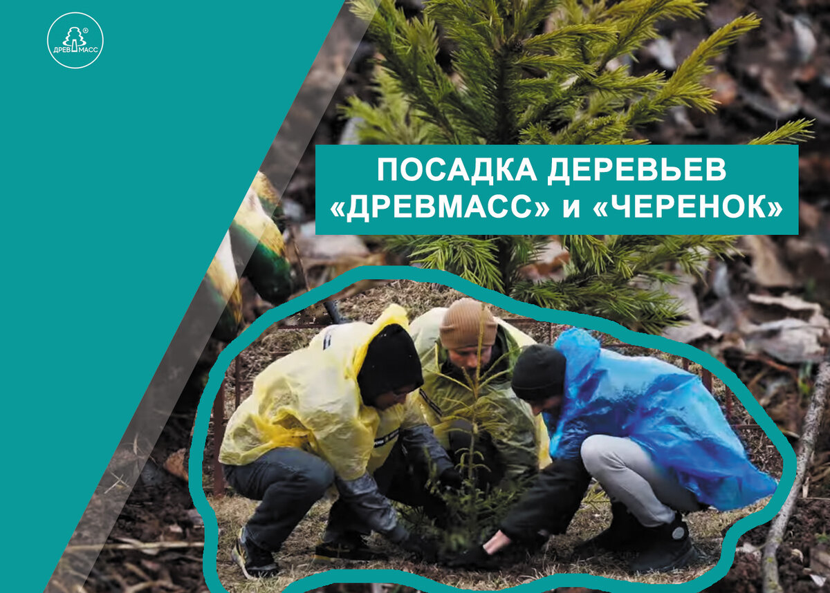 Наша компания приступила к ежегодной посадке деревьев. Мы будем сажать деревья 2 раза в год и будем это делать с дружественным нам брендом  «Черенок».