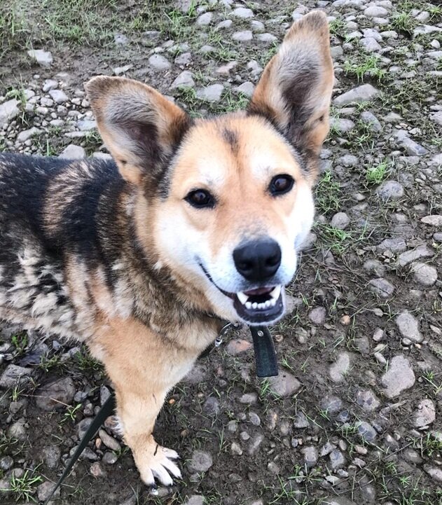 Зоя: "Я красивая, да?"