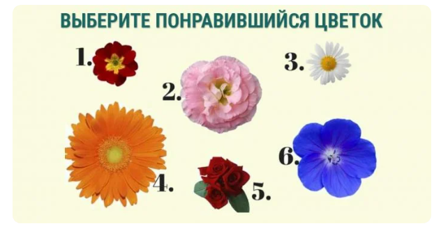 Изображение взято с открытых источников