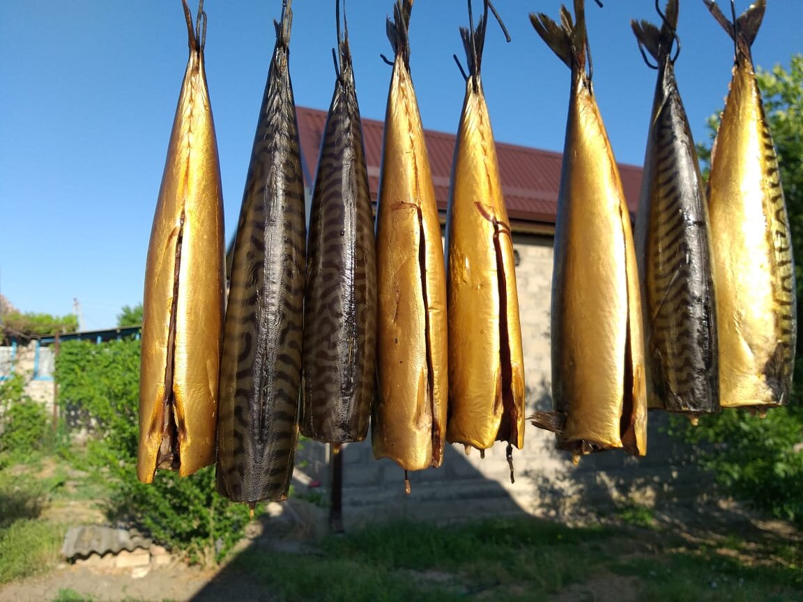 Скумбрия х/к. Фото: Вкуснюшки от Танюшки 