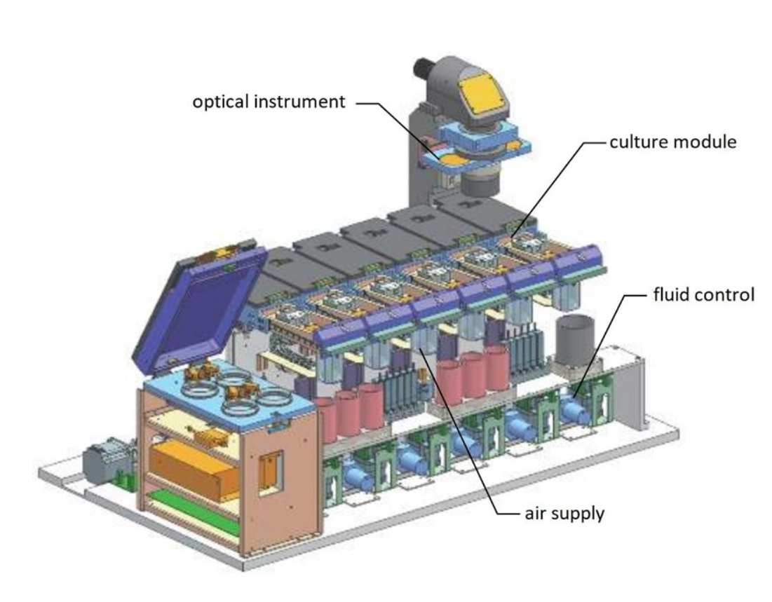 Искусственная матка. Изображение из открытых источников. 