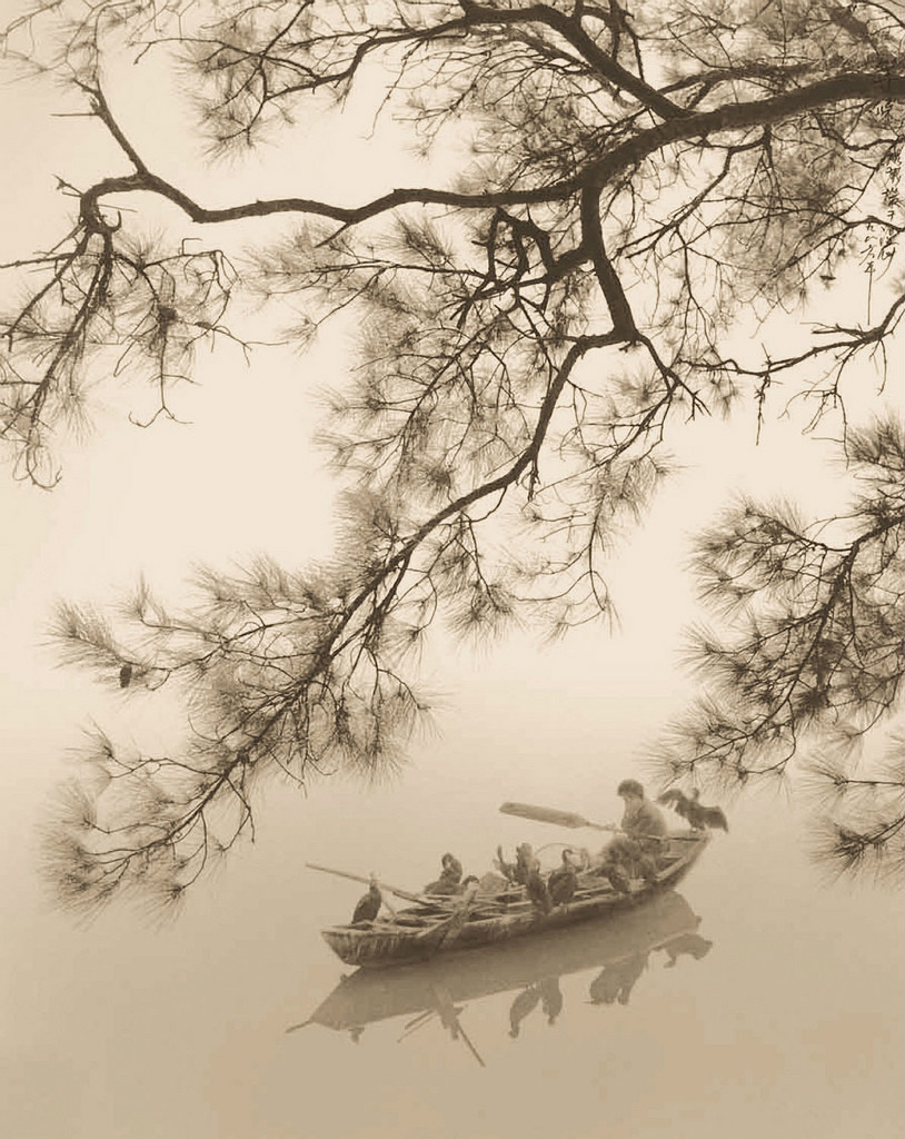 Великолепная эпоха дзен. Дон Хонг-оай (don Hong-oai). Китайский фотограф Дон Хонг-оай. Дун Хун оай. Don Hong-oai работы фотографа.