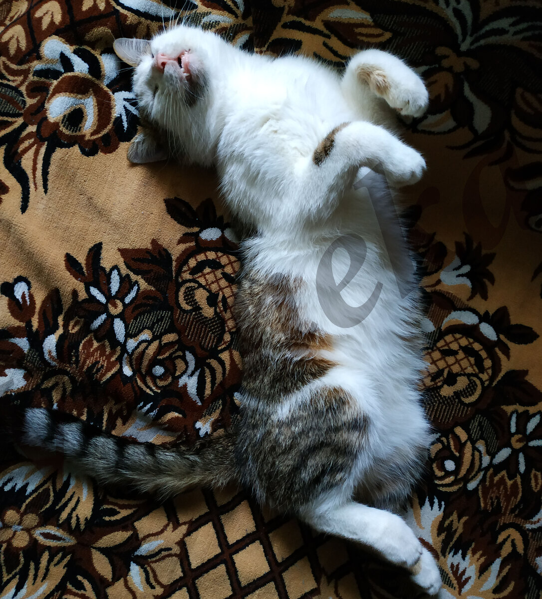 Фото автора. Молодой Кабанский