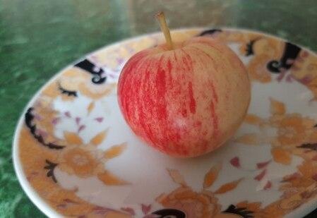 Наливное яблочко. А сорт и не помню ...