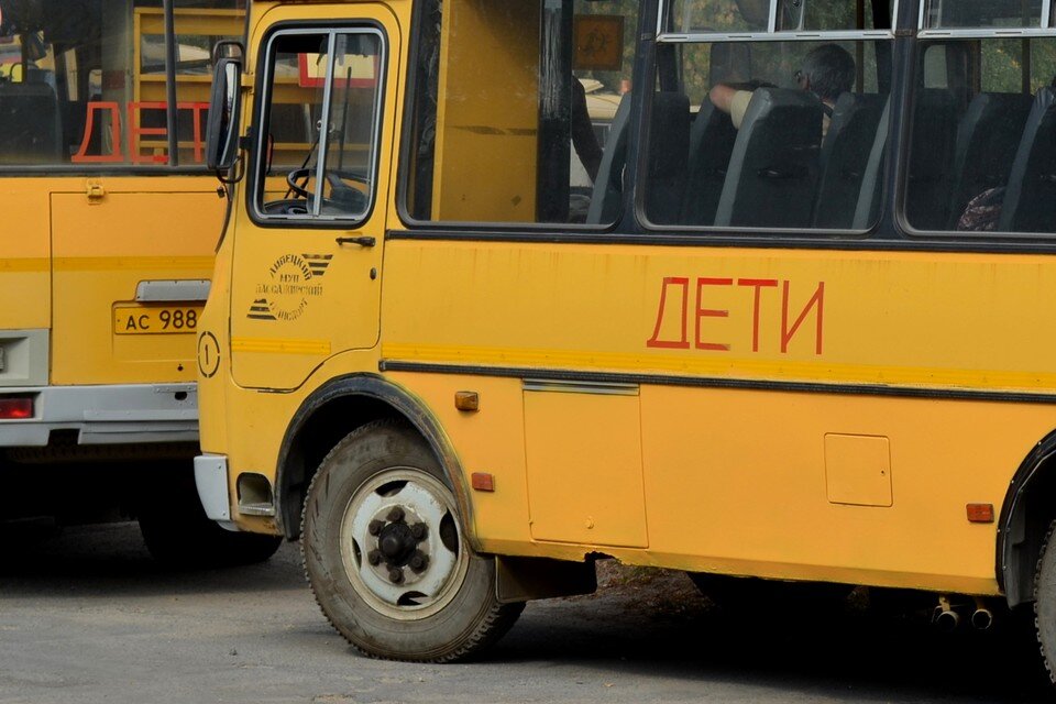     В Липецкую область поступят школьные автобусы и кареты скорой помощи Юлия КЛЮЕВА