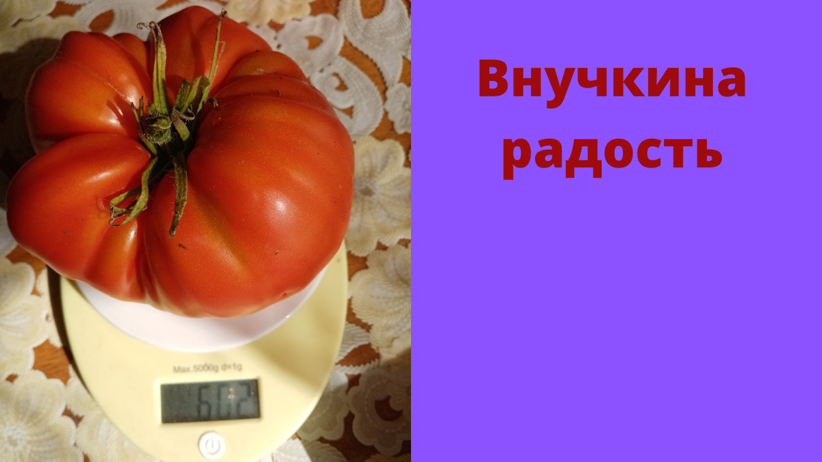 Томат подарок женщине