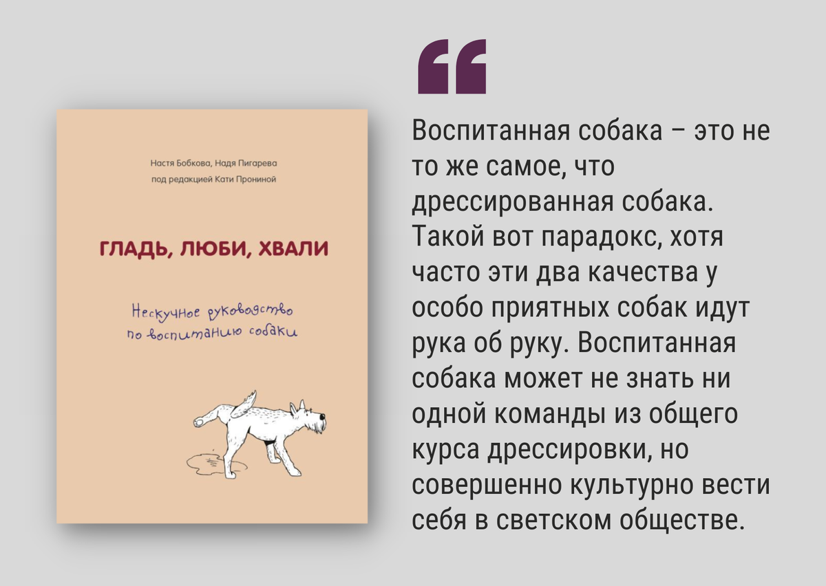 Как научиться понимать кошек, собак и других животных? Обзор 4-х книг |  Белинка. О книгах | Дзен