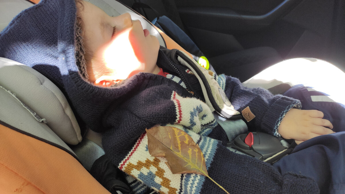 Когда Ростик сидел в машине с отрытой дверью, на него неспеша, танцуя, опустился осенний листочек.