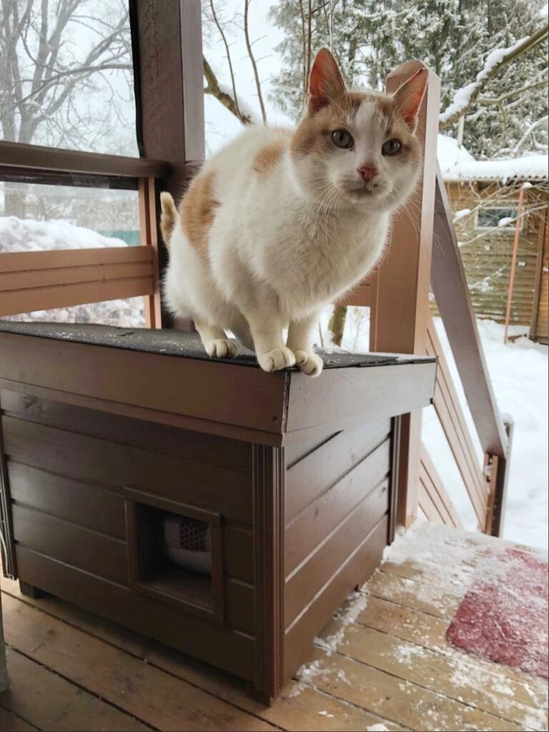 Будка для кошек.
