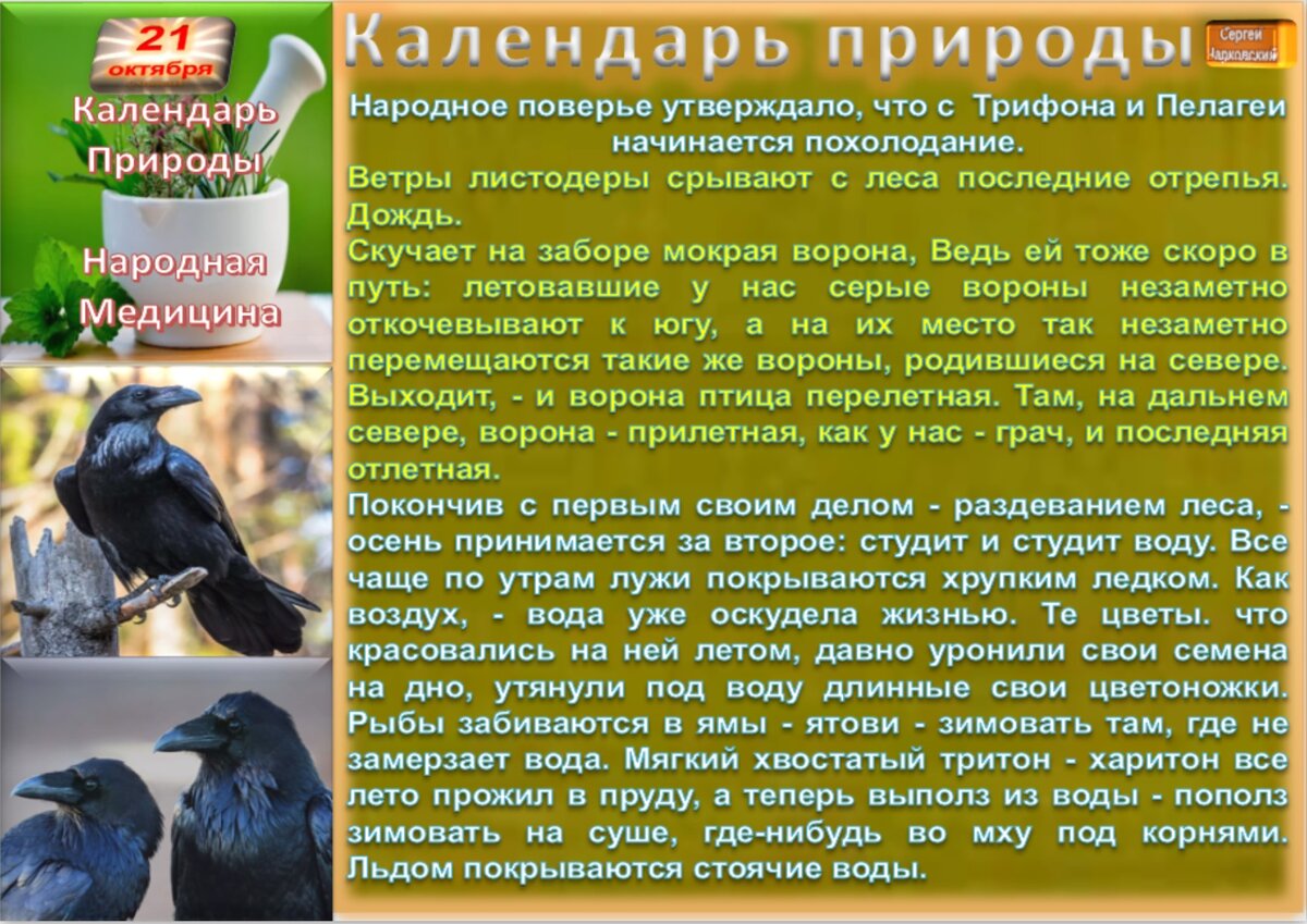 26 октября приметы