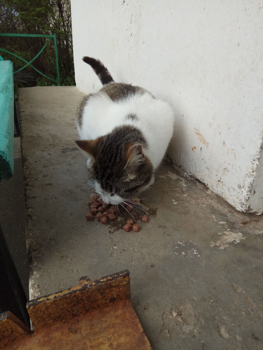 Еда с голого бетона лучше отсутствия еды...