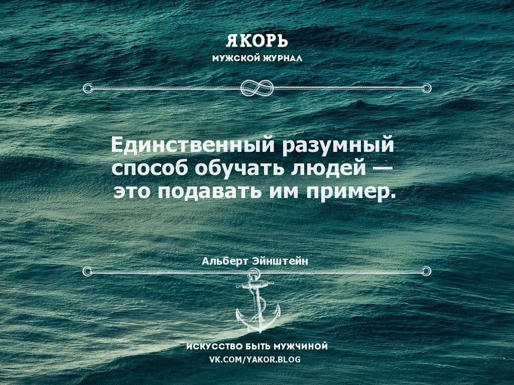 Старшеклассникам было предложено составить сложный развернутый план по теме свобода и необходимость