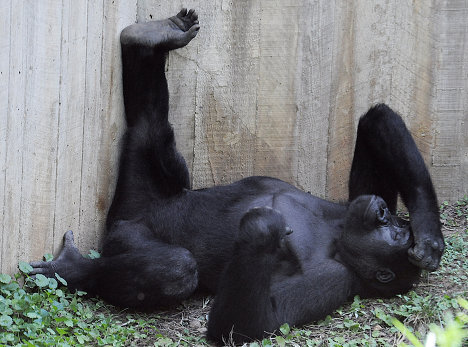 Фото из интернета