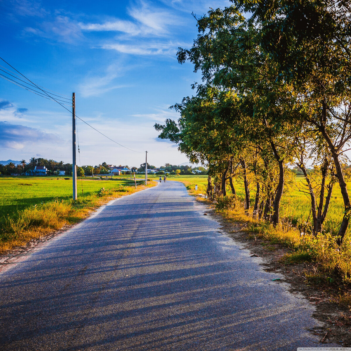 Фото с Яндекс картинки