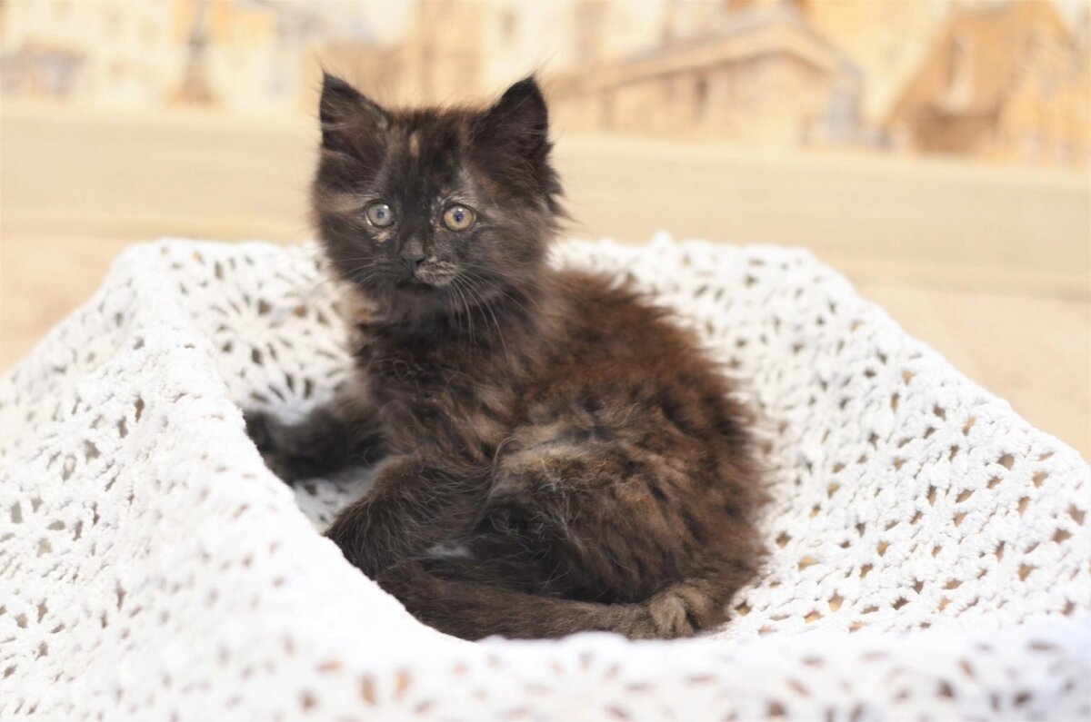 В ожидании чуда