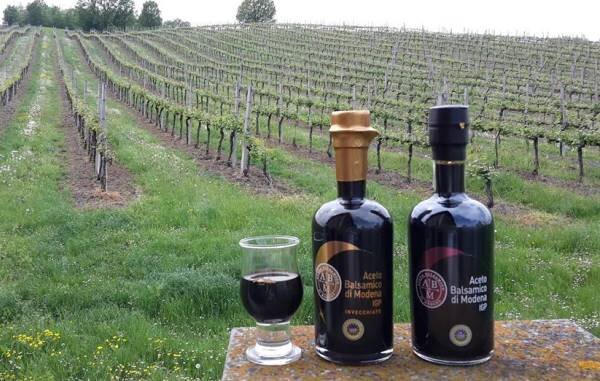 Уксус на фоне виноградников, город Модена, родина бальзамического уксуса 