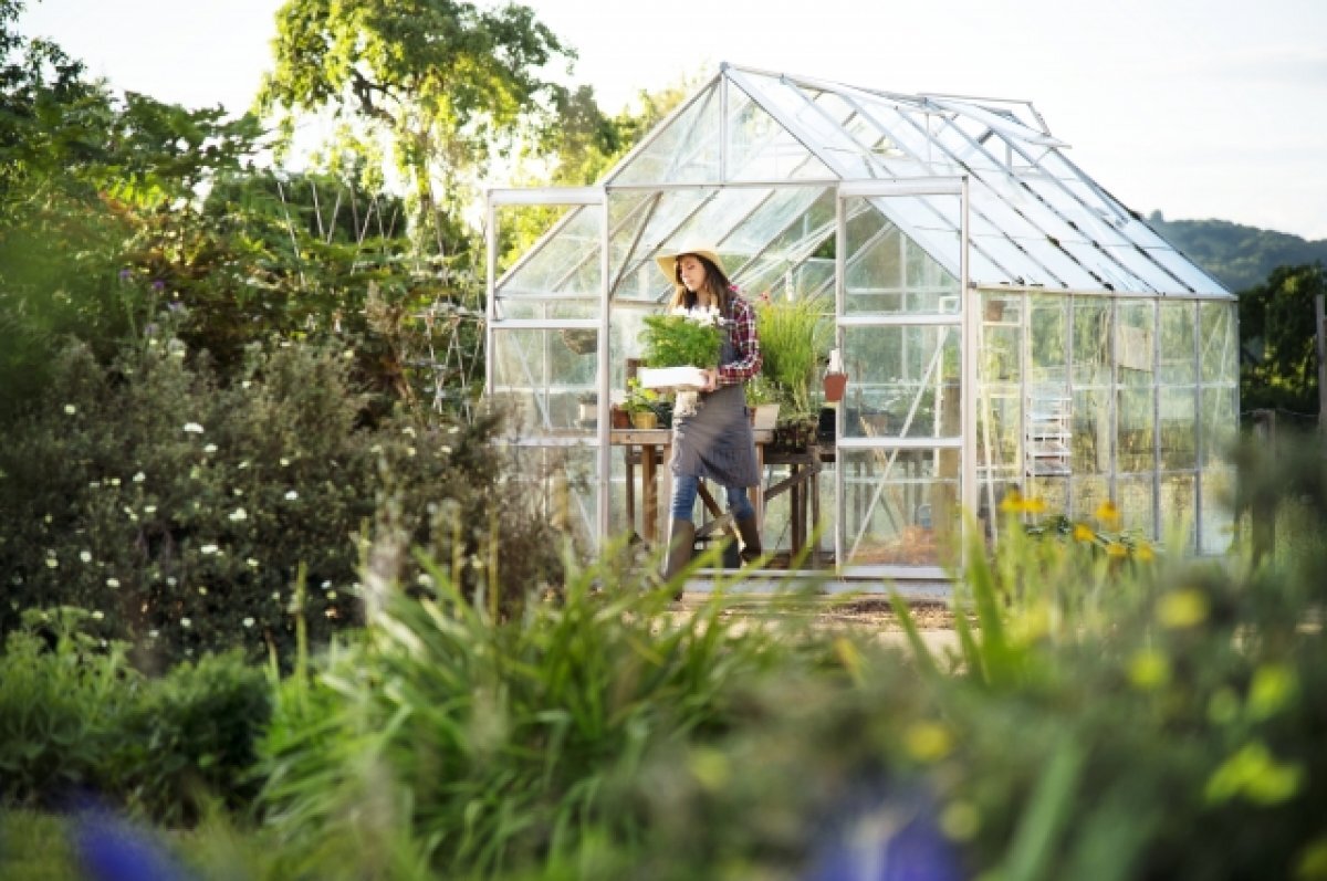    Фазенда за миллионы.