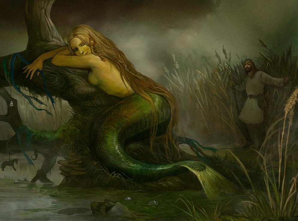 фото из открытых источников интернета