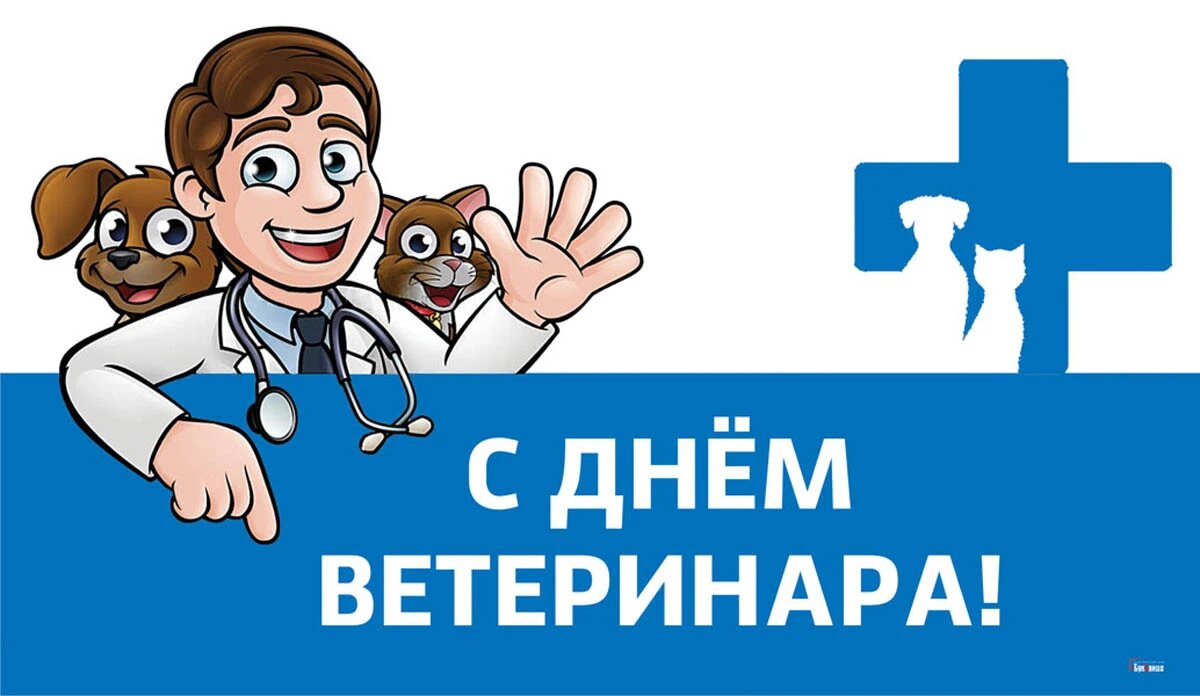 День ветеринара. Иллюстрация: «Весь Искитим»