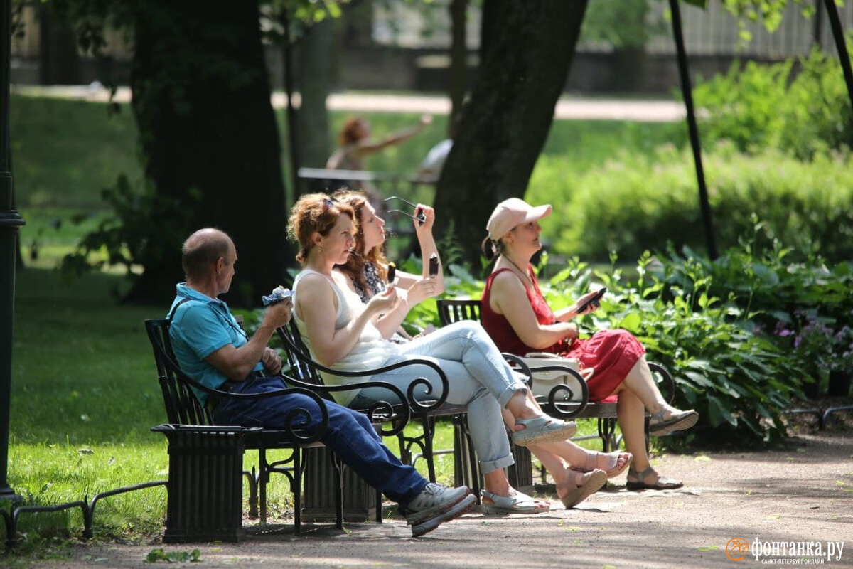 Картинка из свободного доступа