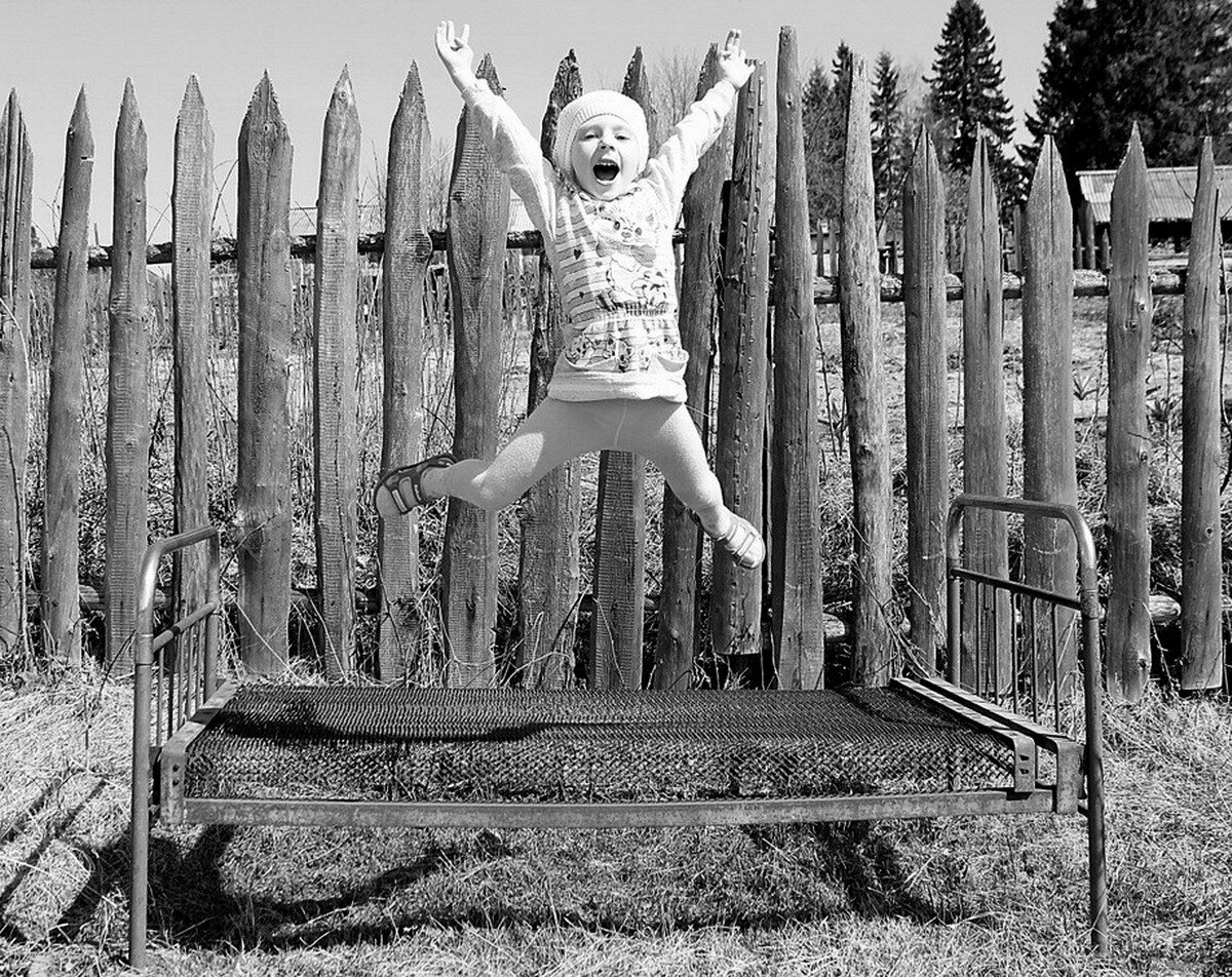 Фото из яндекс.картинок