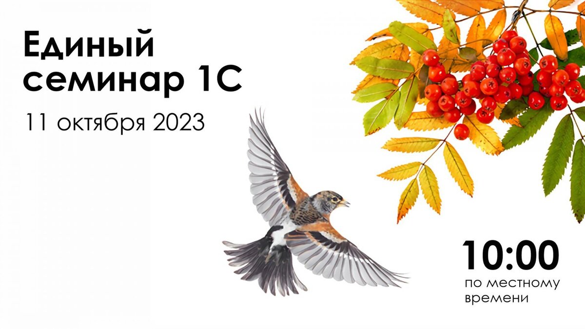 Единый семинар 1С - 11 октября 2023 года!
