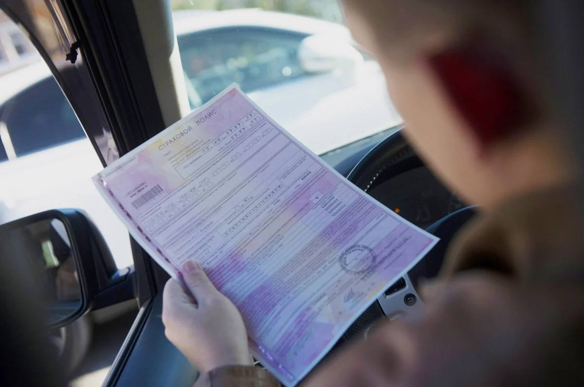 Фото из открытых источников