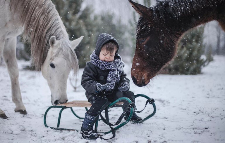 фото: https://www.goodfon.ru/download/malchik-koni-zima/640x480/