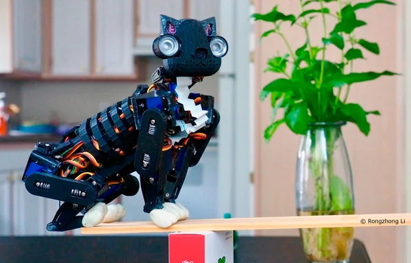 Робокошка OpenCat