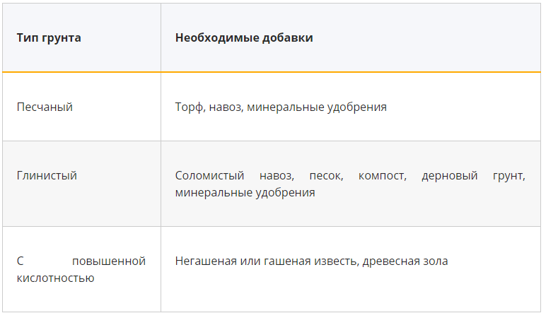 Удачное соседство. Планируем «умные» грядки | Аргументы и Факты