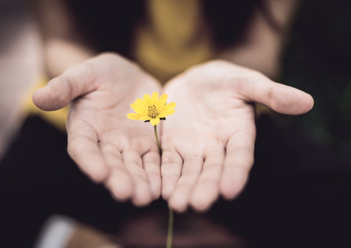Unsplash.com