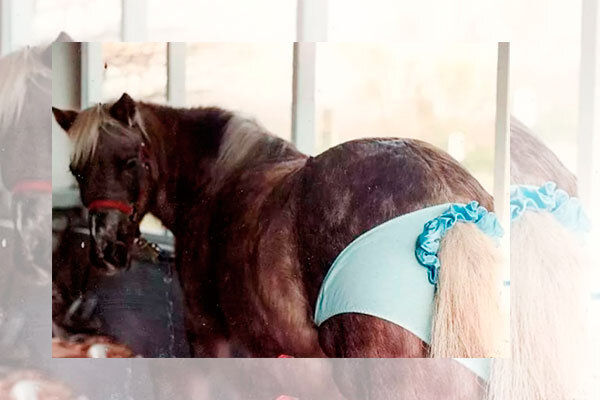 Источник фото сервис Яндекс.Картинки