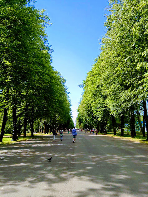 (от метро идём левее, переходим дорогу и шагаем прямо)