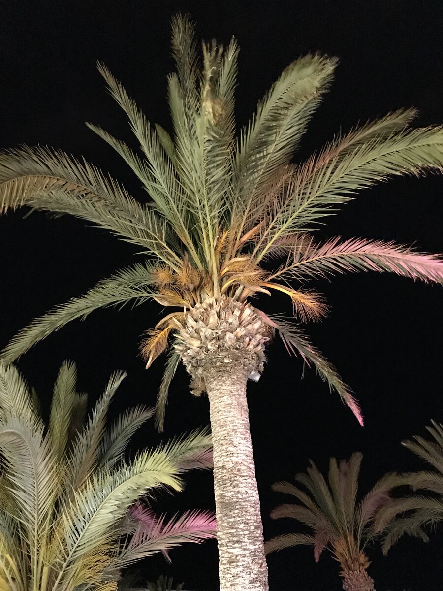 Фото из личного архива