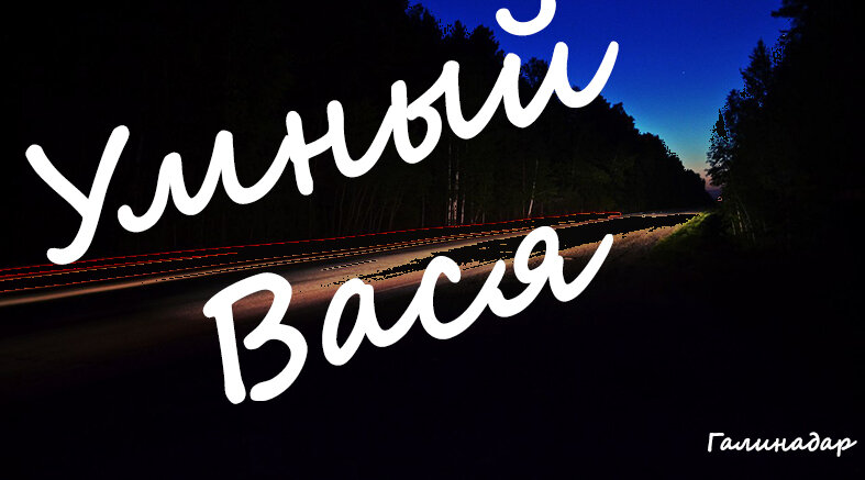 Умный Вася | Галина Дарсаева | Дзен