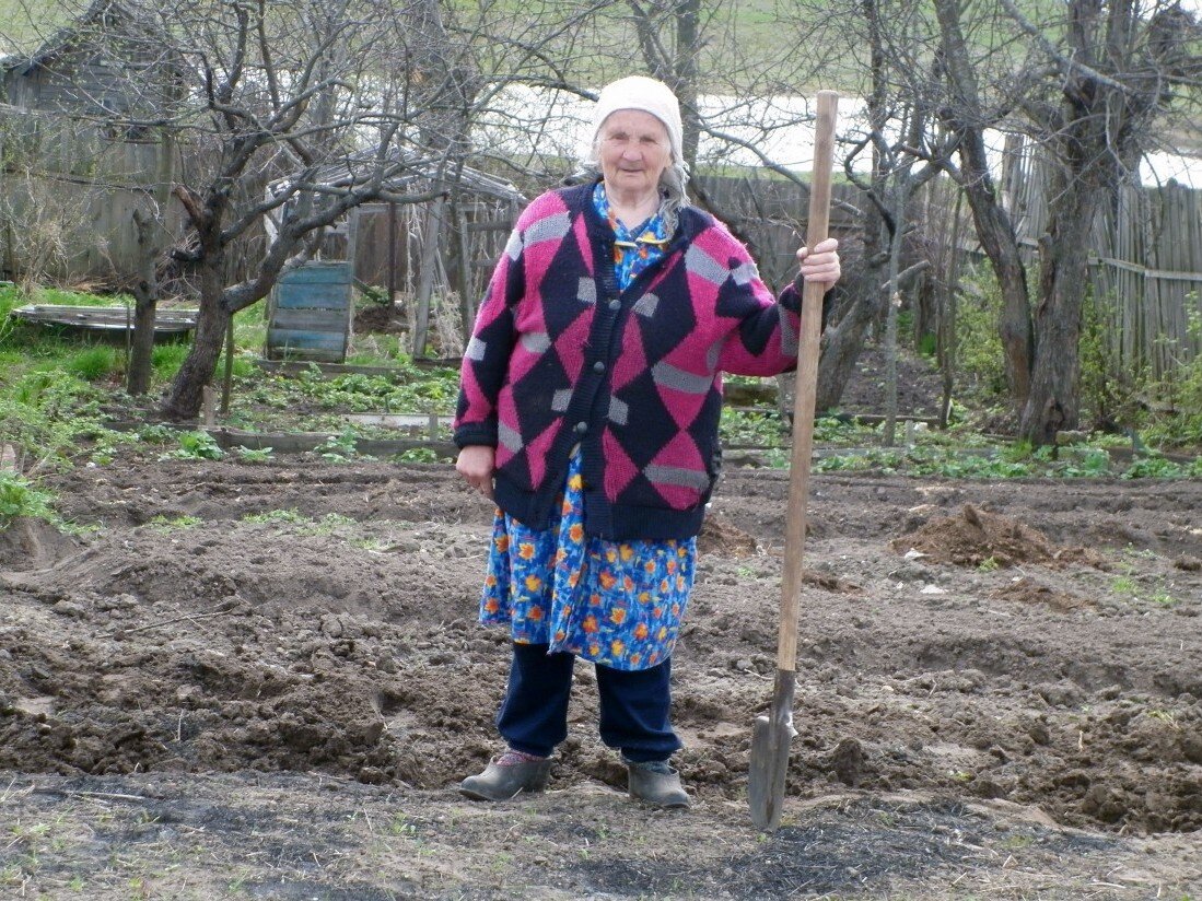 Никогда не буду жить на даче. Почему загородная жизнь настолько ужасна |  Самолётик | Дзен