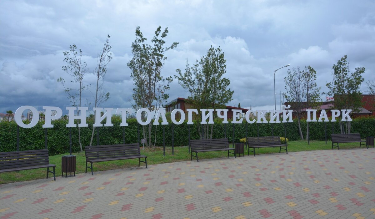 Фото olgasam009