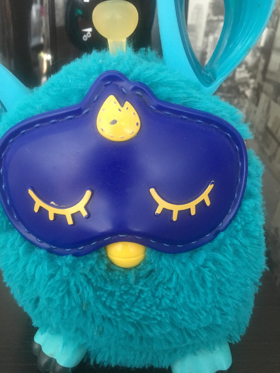 Вот кого мы выбрали . 