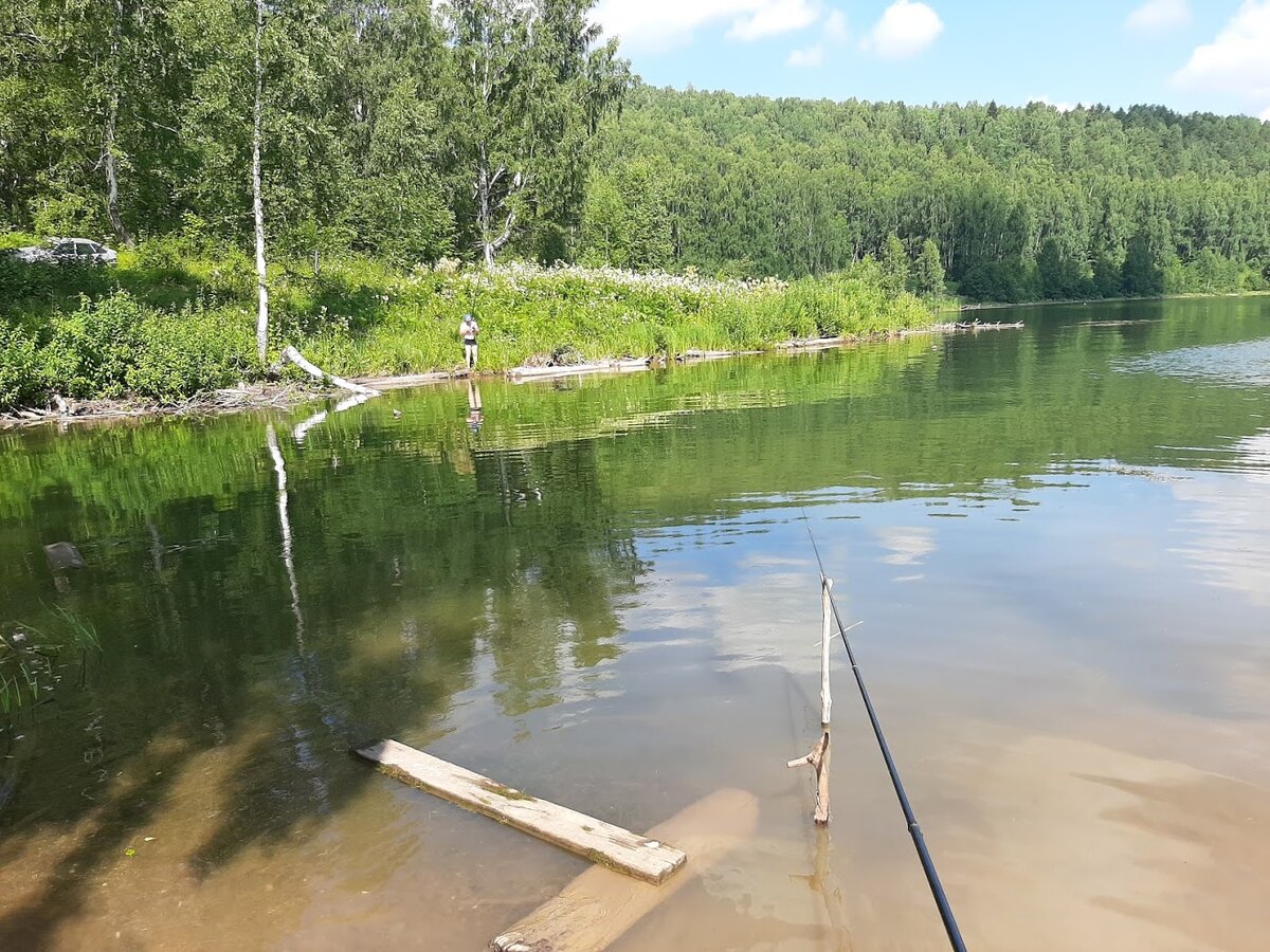 Кемпинг истринское водохранилище